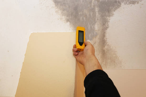 Best Residential Mold Inspection & Testing  in USA